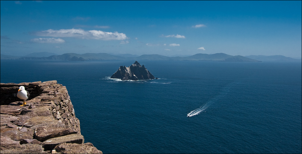 Птицы в фотографиях из путешествий