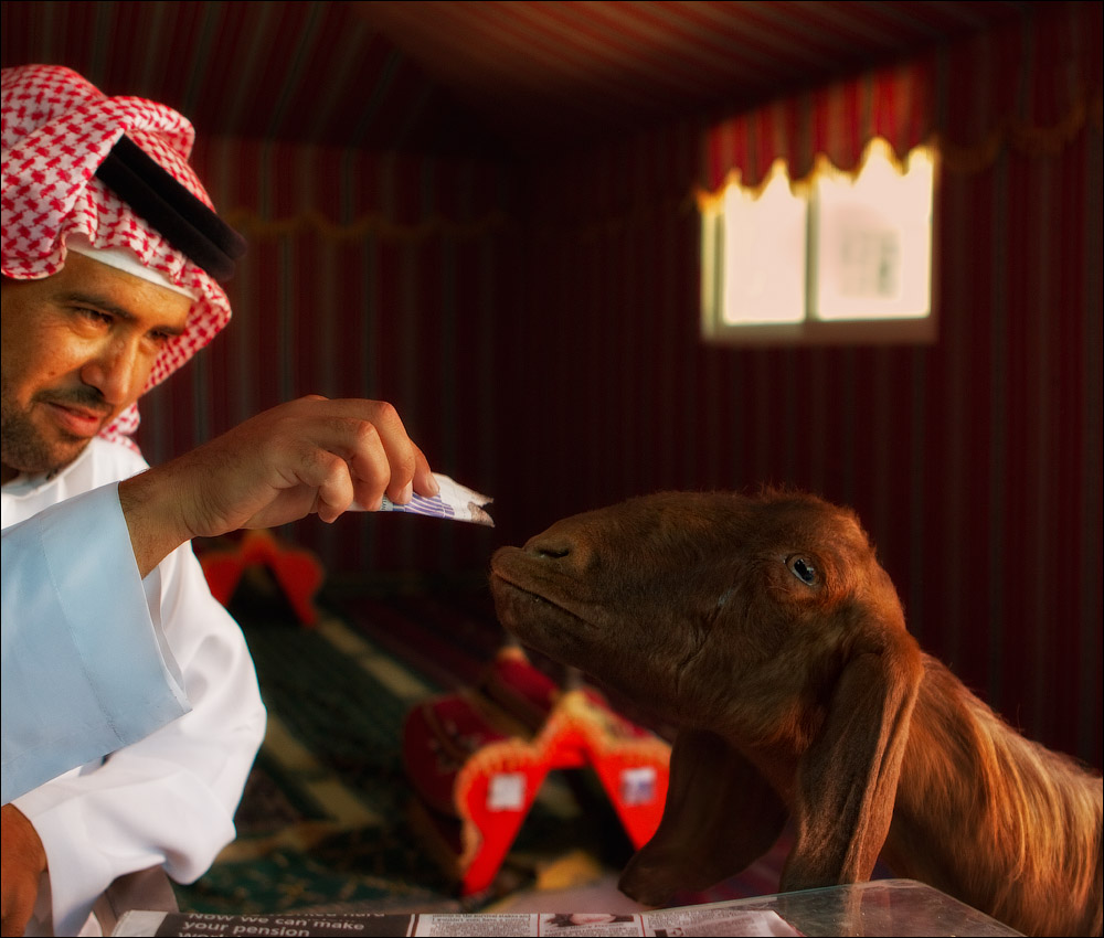 Их быт и их нравы: повседневная жизнь в фотографиях