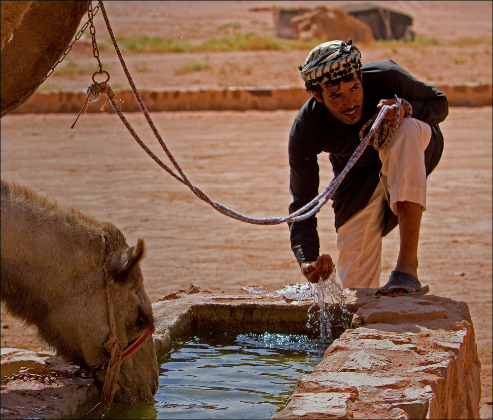 Их быт и их нравы: повседневная жизнь в фотографиях