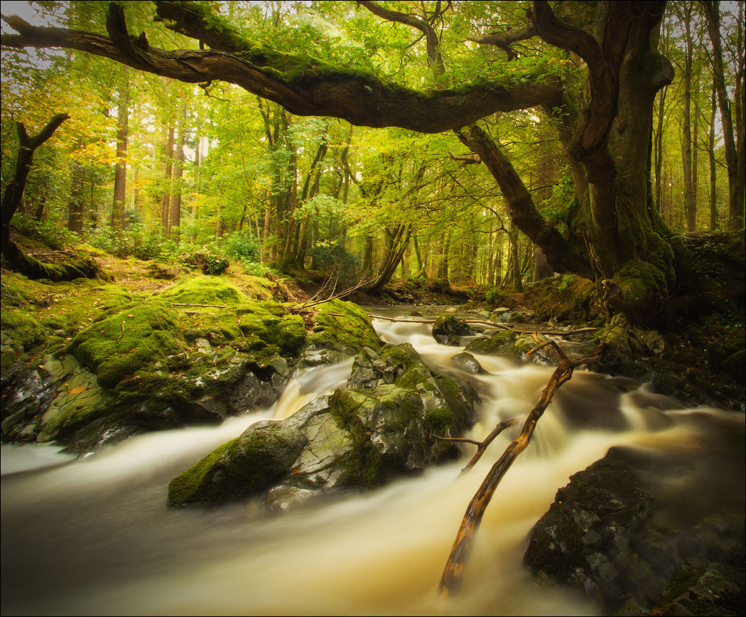 Природные пейзажи различных стран в фотографиях - 2